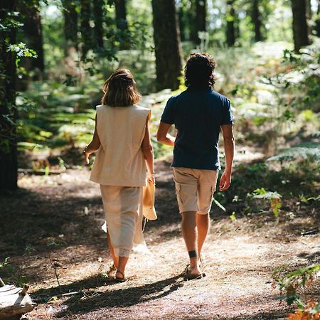 Camping Lou Broustaricq Sanguinet Eksteriør billede