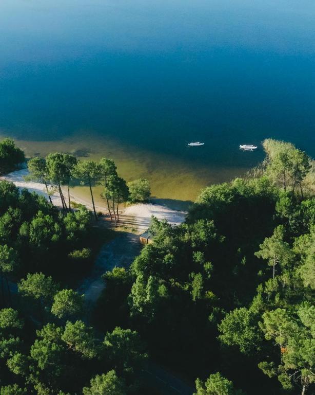 Camping Lou Broustaricq Sanguinet Eksteriør billede